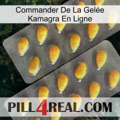 Commander De La Gelée Kamagra En Ligne cialis2